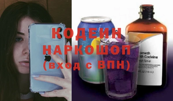 ешки Гусев