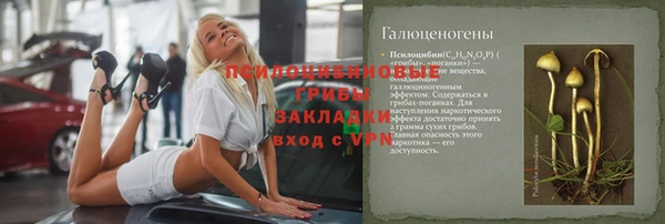 ешки Гусев