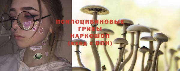 стафф Горняк