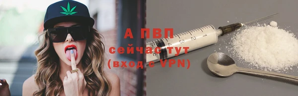 крисы Гусиноозёрск