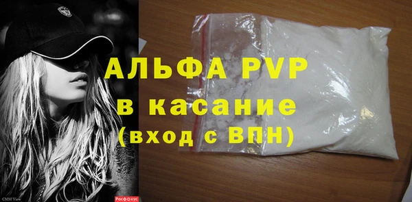 PSILOCYBIN Гусь-Хрустальный