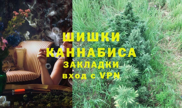мдпв Горнозаводск