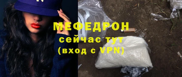 трава Няндома